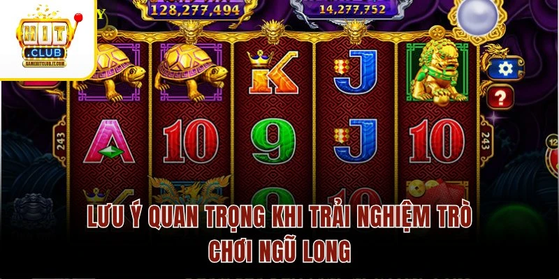 Lưu ý quan trọng khi trải nghiệm trò chơi Ngũ Long