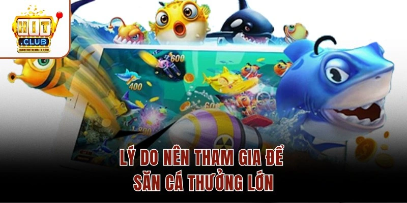 Lý do nên tham gia để săn cá thưởng lớn